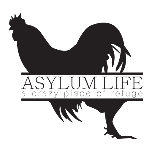 Asylum Life