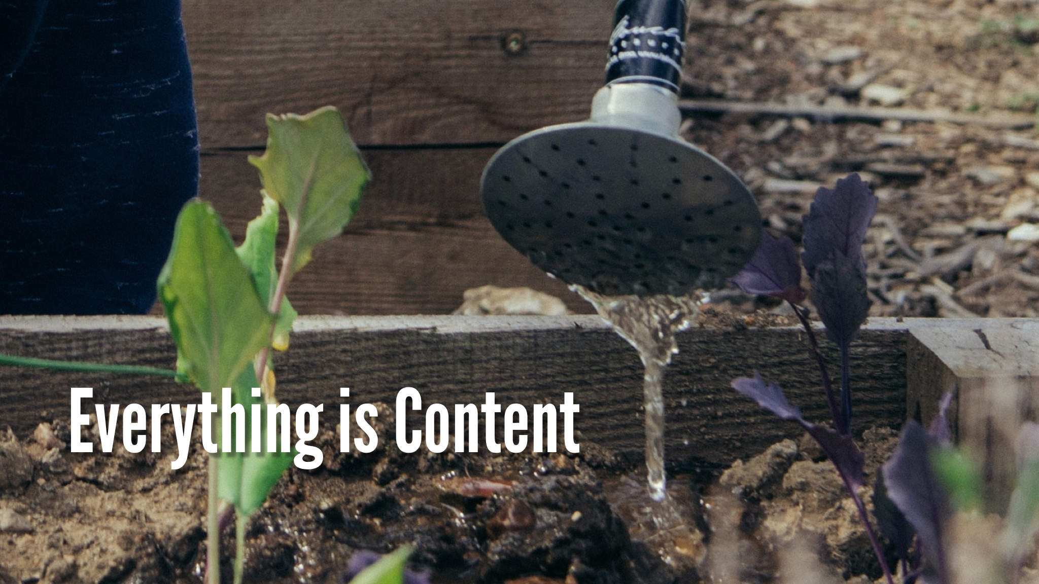 Everything is content