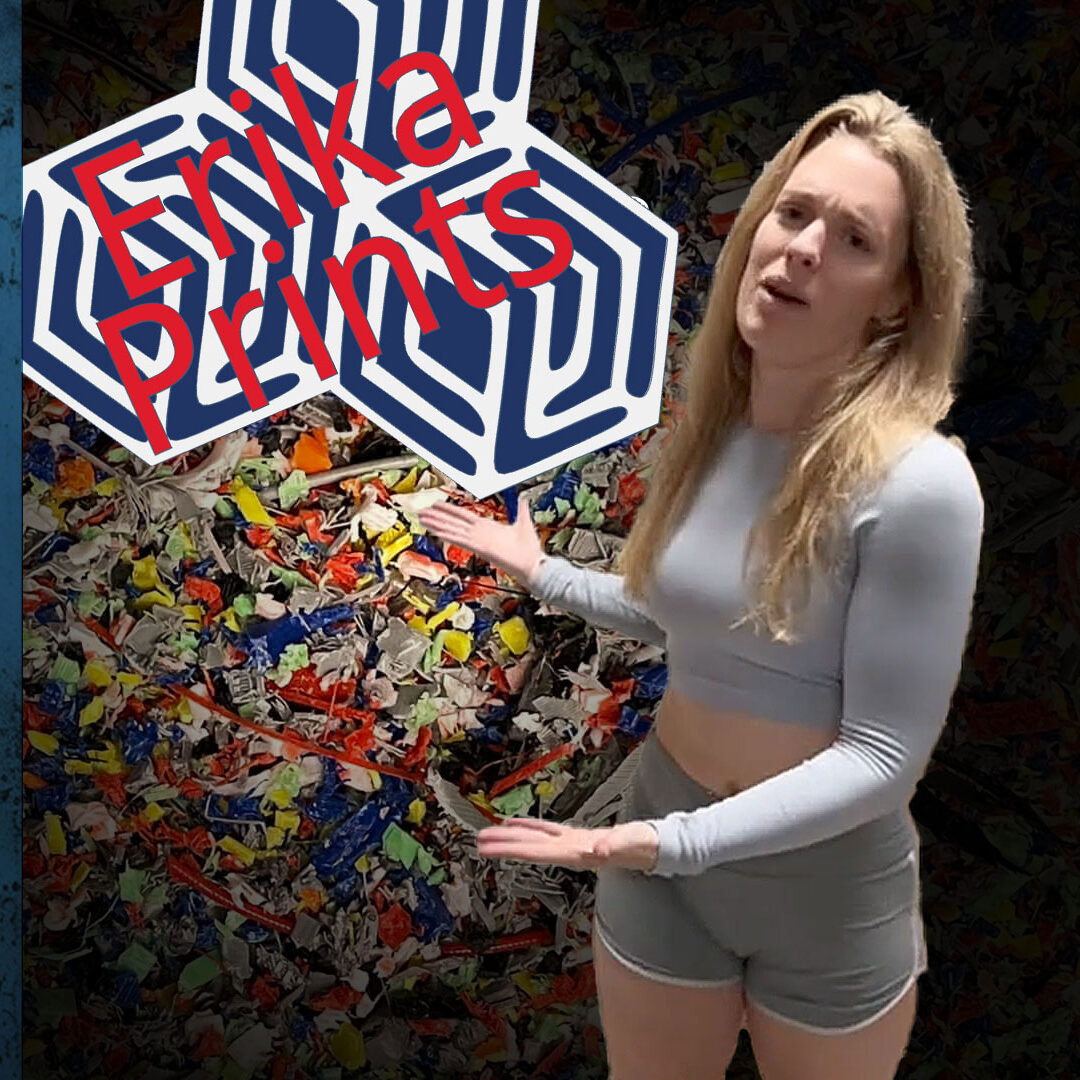 AL:S25Ep0123- Interview with Erika Prints